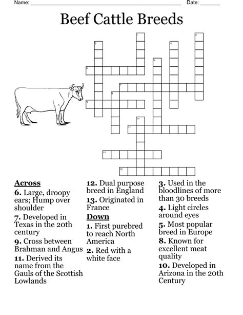 english breed of cattle crossword|english cattle crossword clue.